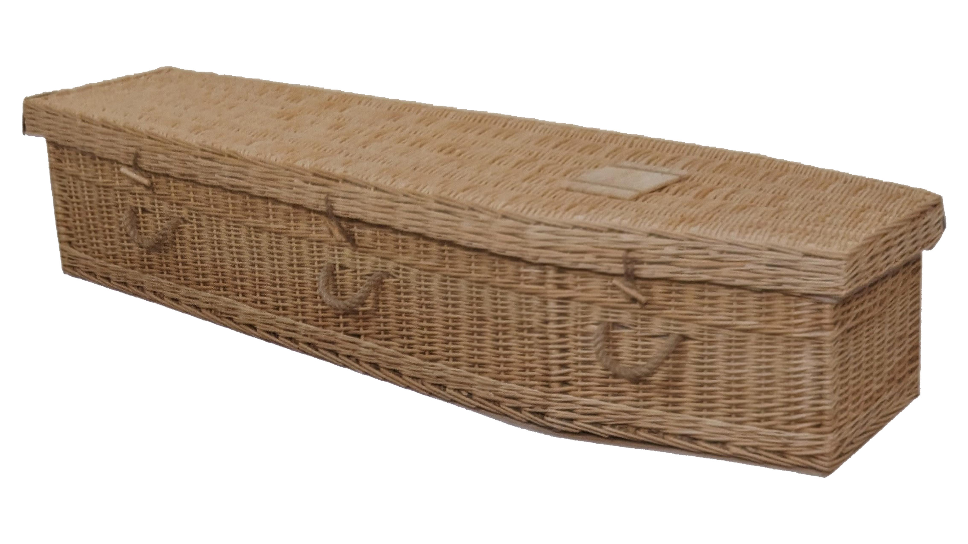 The Larkspur coffin