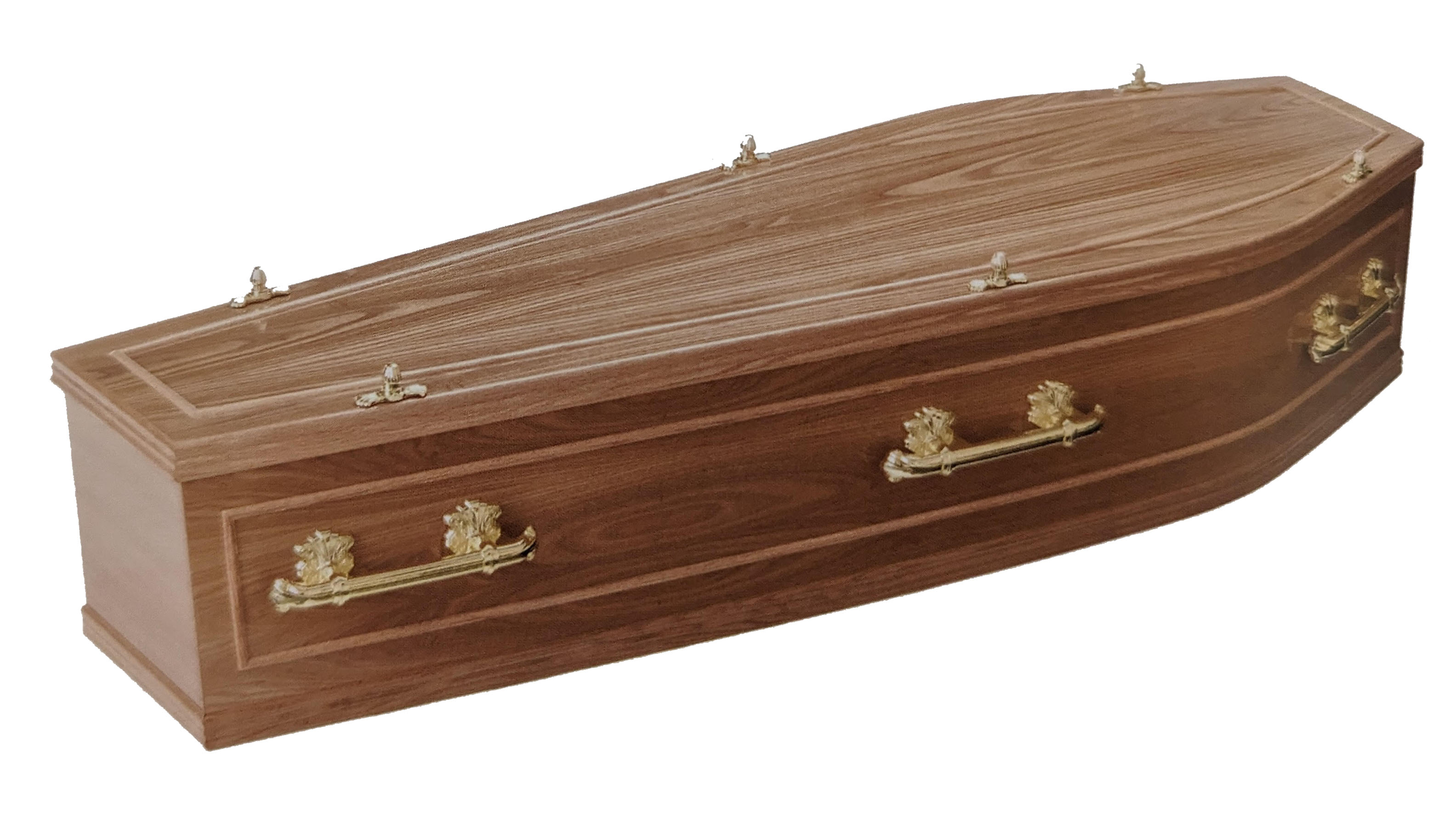 The Kedleston coffin